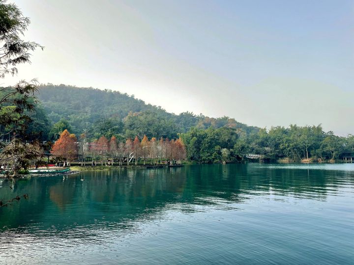 湖畔與落羽松交織成一幅美麗的湖光山色