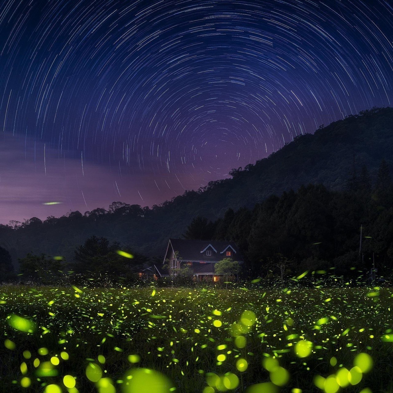 Sparkling Fireflies(Taiwan B&B Association, R.O.C)