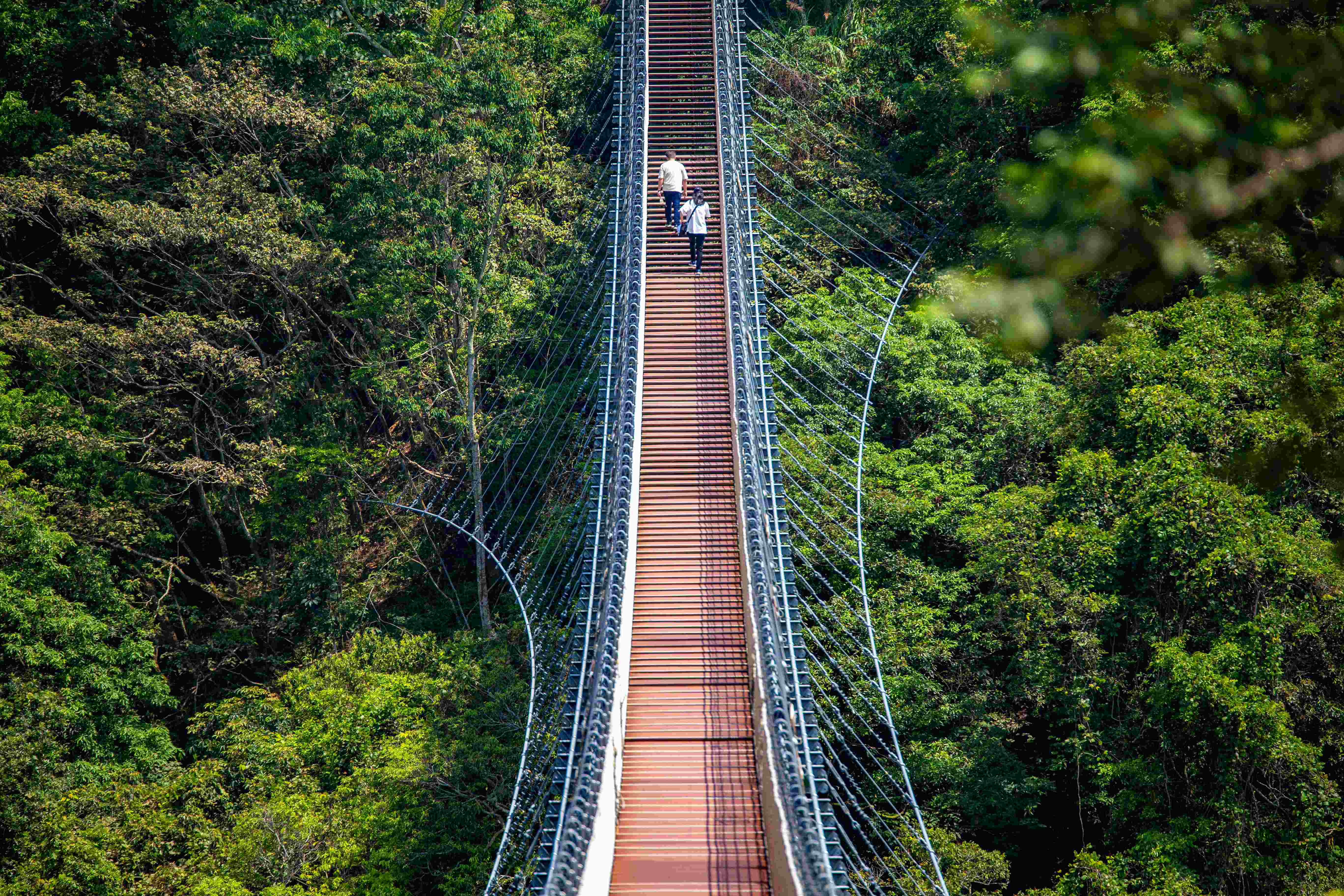 猴探井微笑天梯