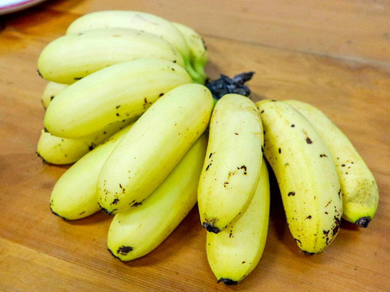 Plantains