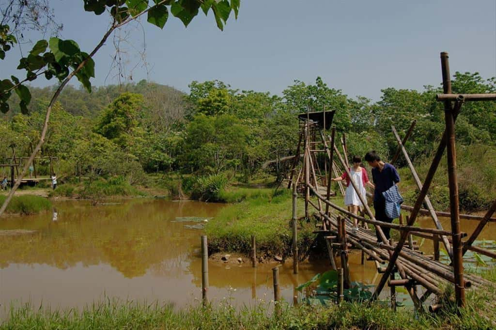 It is a valuable wetland for ecological education and tourist enjoyment in Central Taiwan.