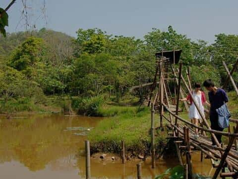 Caonan Wetland