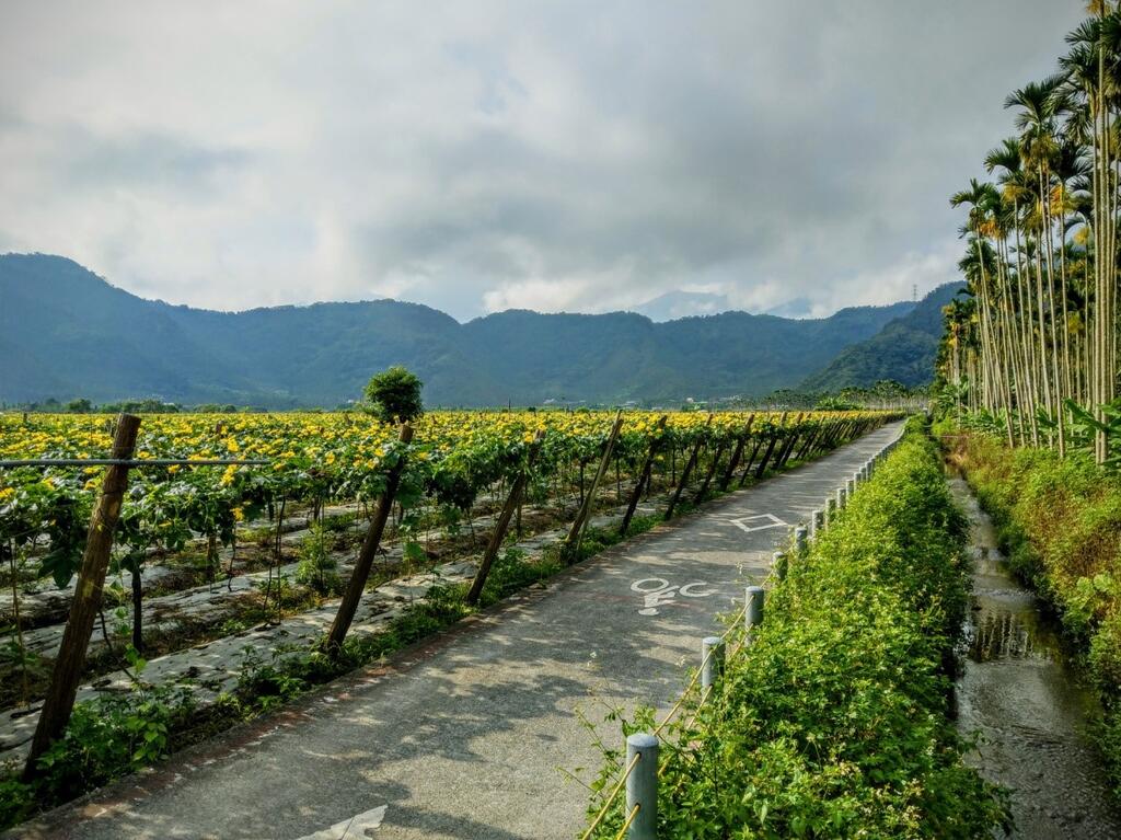 This path is located at Toushe Village which is to the southwest of Sun Moon Lake.