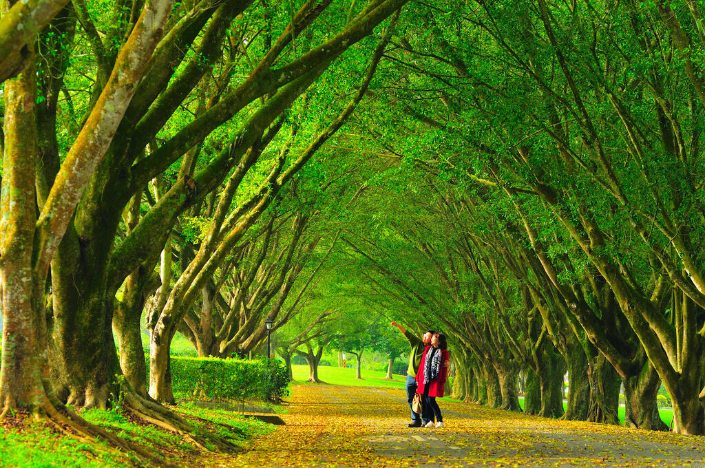 Taiwan Adventist College