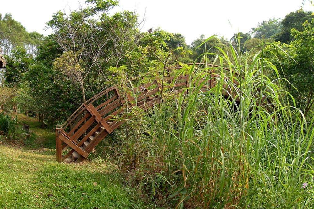 Ecological engineering techniques to construct an ecological pond based on the waterways.