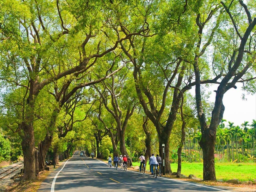 The Jiji Green Tunnel and Travelers.