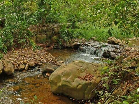 Maopukeng Creek Ecological Park