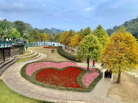 Wedding Photography Plaza