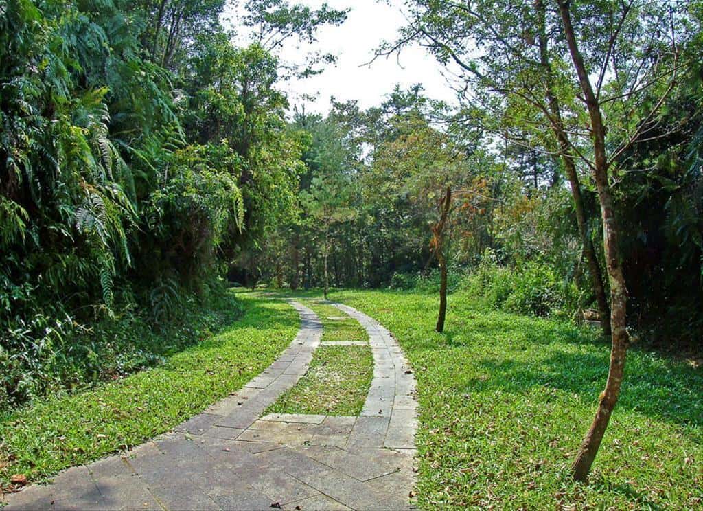 The Songbolun Nature Trail, which is near Wenwu Temple, reaches a length of 600 meters.