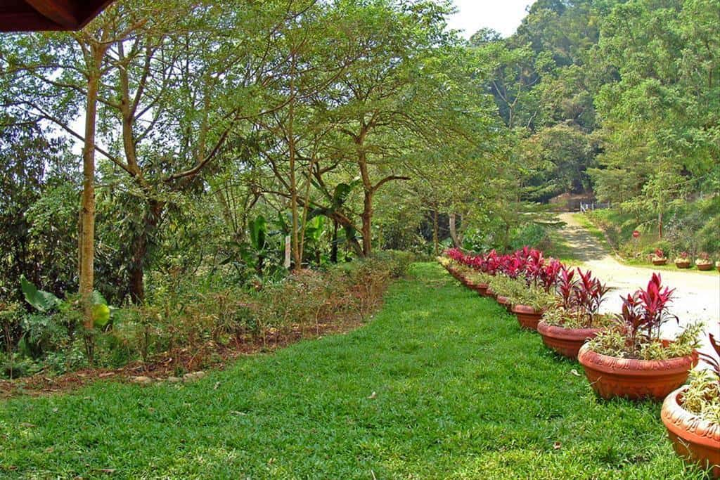 The Dazhuhu Nature Trail is  the shortest trail at Sun Moon Lake