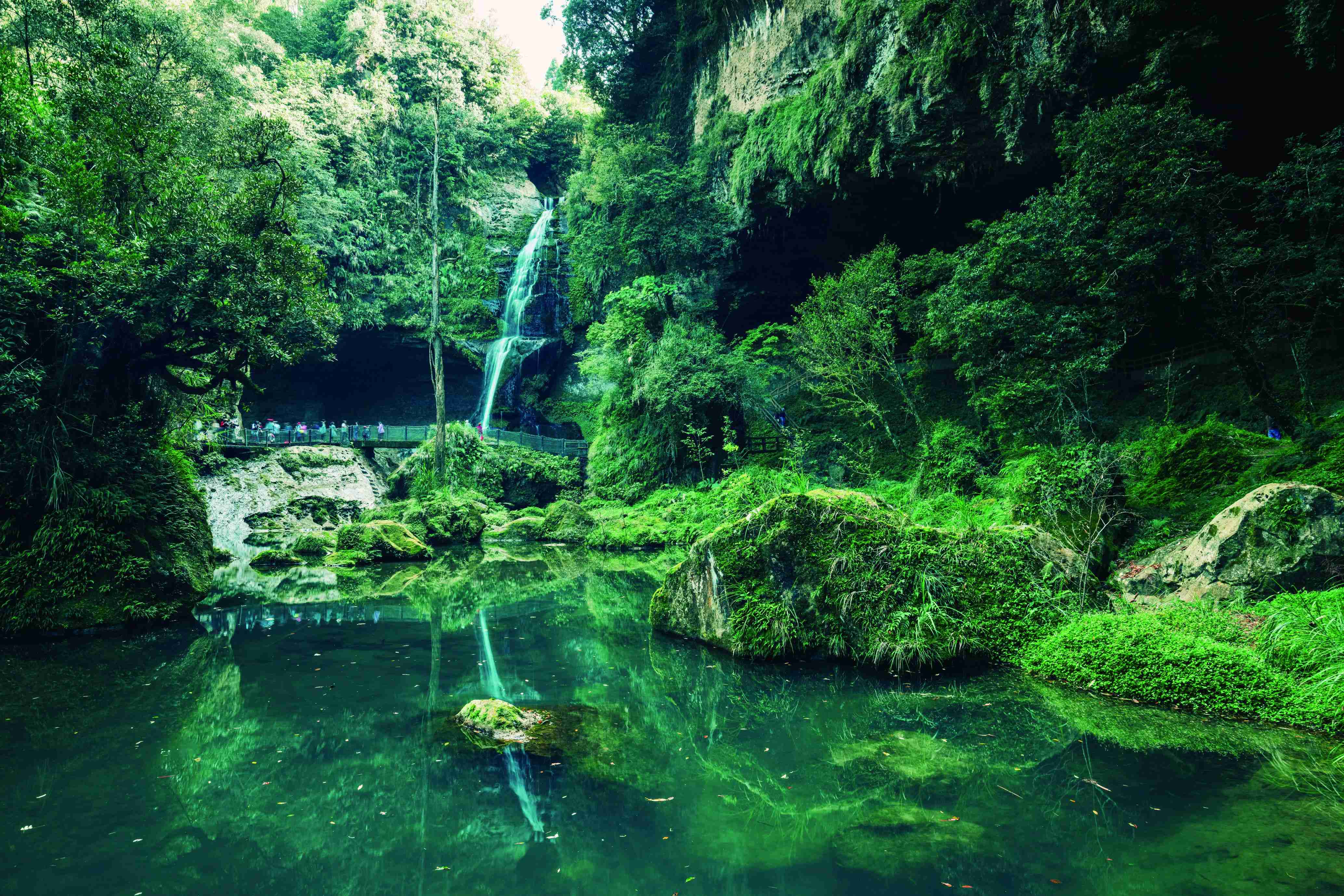 杉林溪森林生態渡假園區