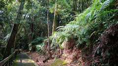 內湖山步道