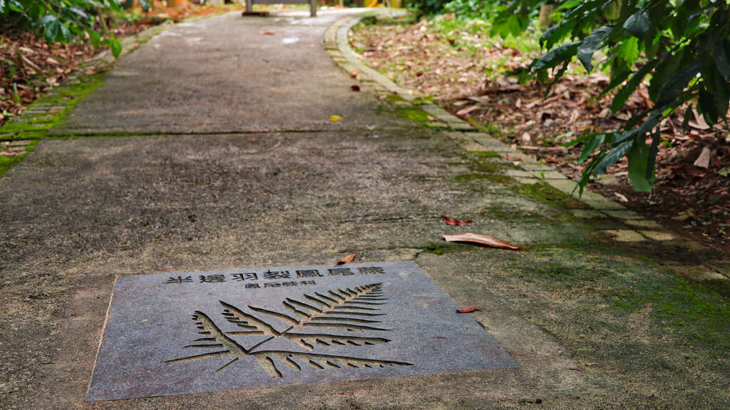 內湖山步道