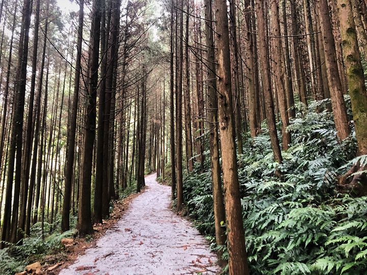 🏞【不出國也能賞美景】🏞系列3/3