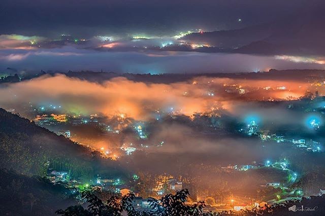 金龍山琉璃光✨