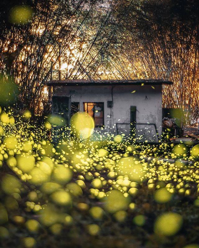 一點一點的 照亮黑夜