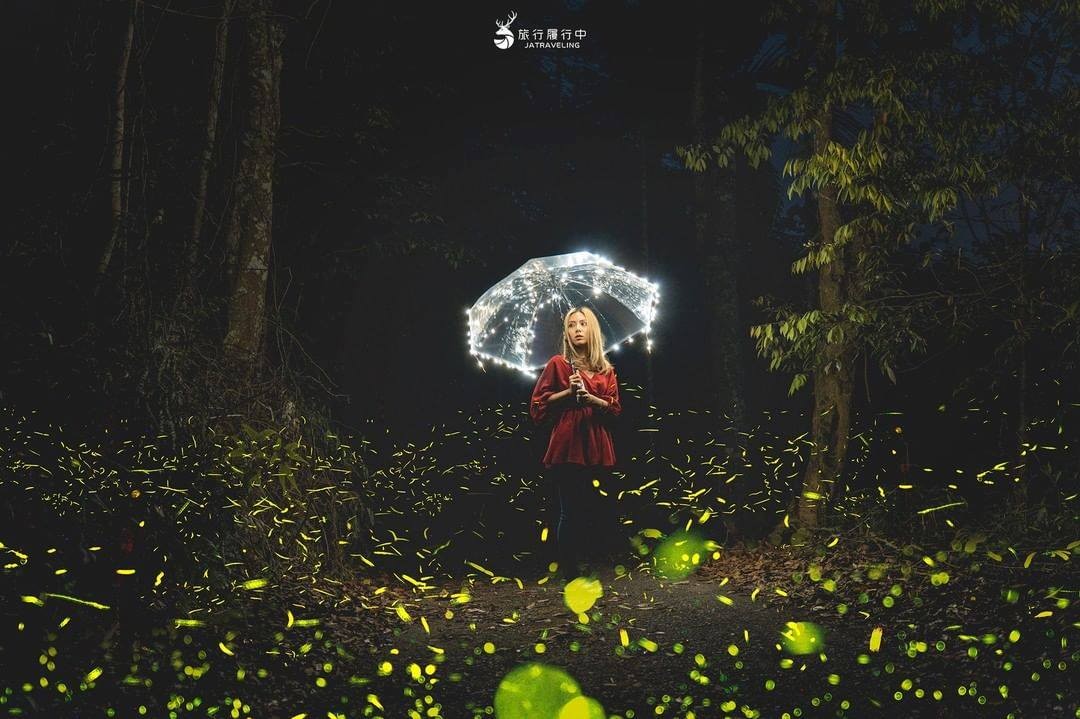 等待夜裡最閃亮的那一刻