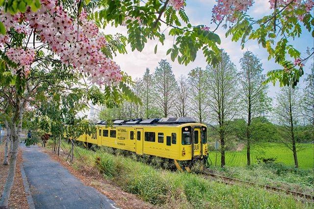 香蕉火車配美景😍