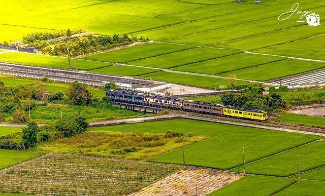 香蕉火車+胖胖石虎火車😍