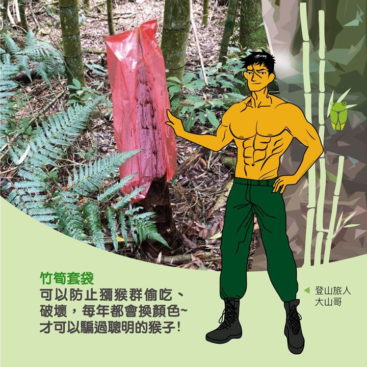 【明潭三岳小教室】 #脊梁山脈旅遊年 