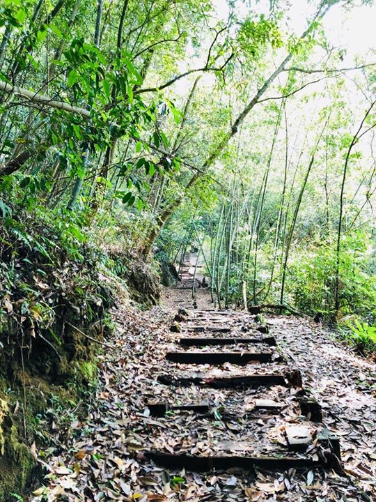 【明潭三岳小教室】 #脊梁山脈旅遊年 系列1/3