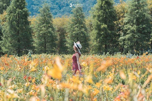 日出綻放，日落凋零