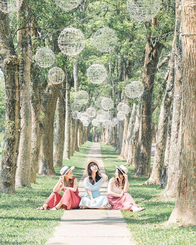 最美的森林系校園🌲