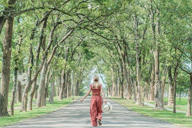 怎麼拍怎麼美學校!!
