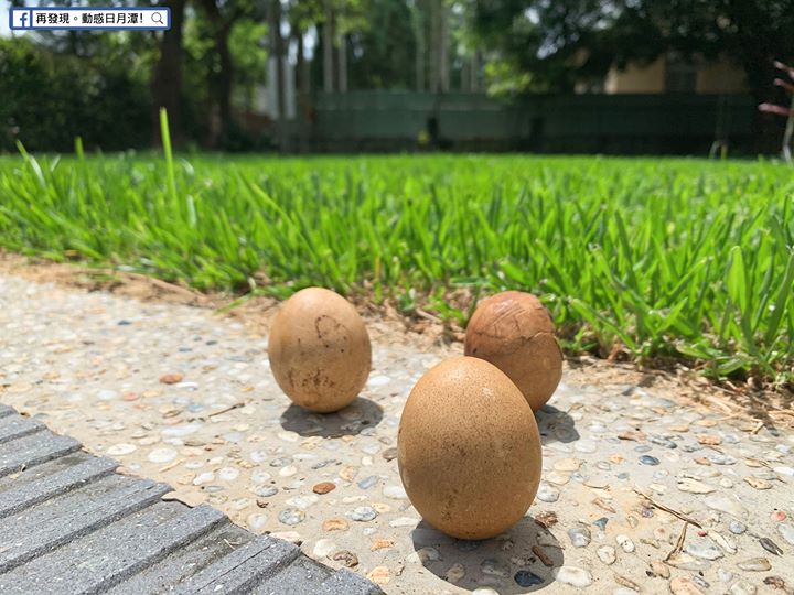 潭粉們端午節快樂！