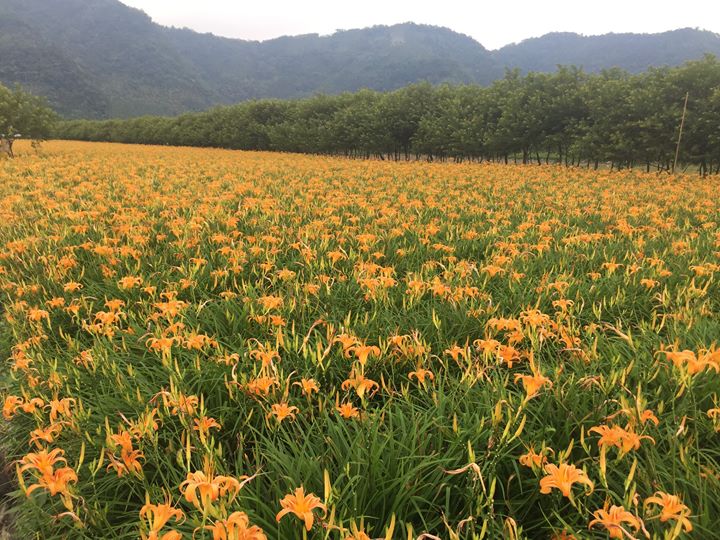 🚤從水岸玩到山城⛰ 系列6/8