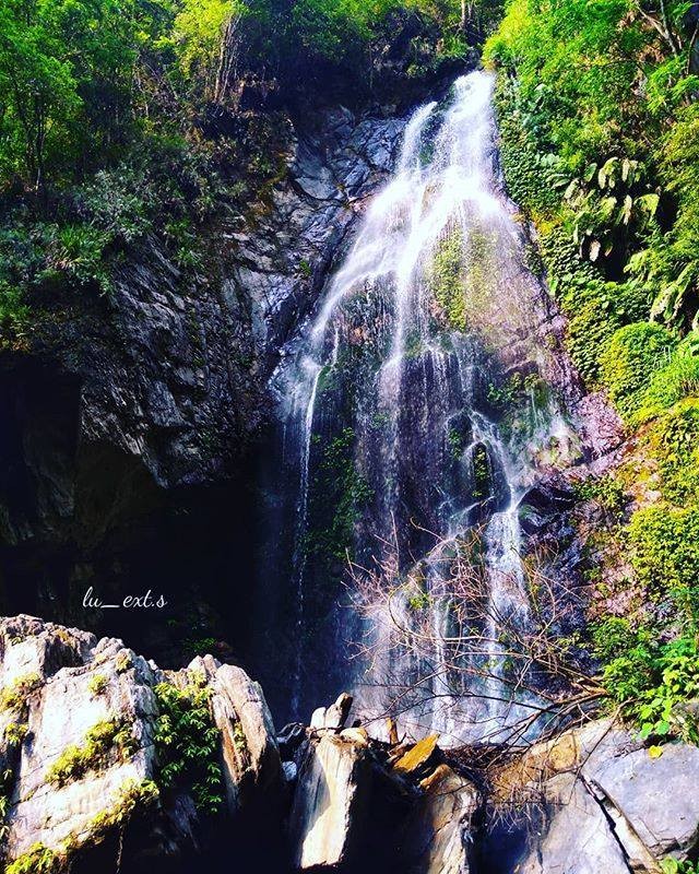 充滿蝴蝶的美麗秘境🦋