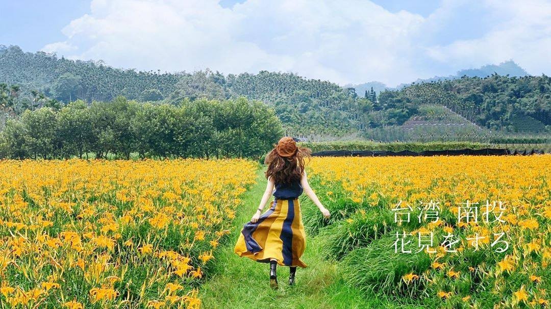 錯過五月的花季沒關係