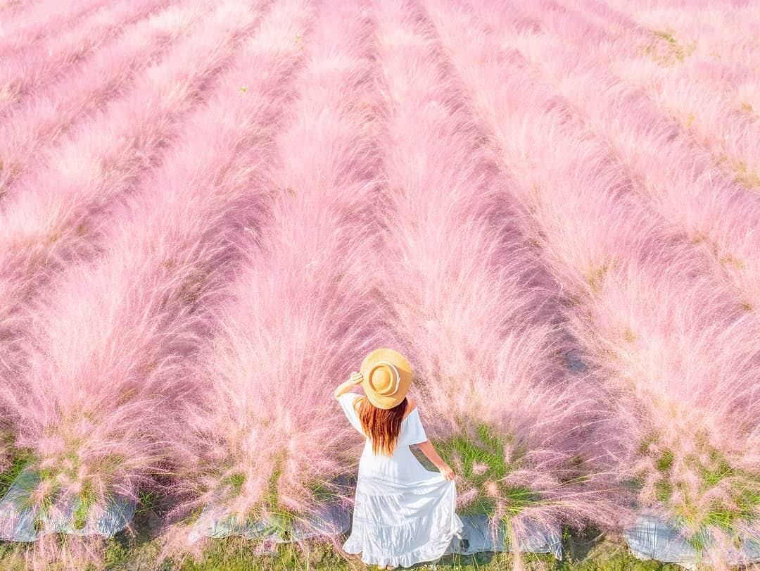 這夢幻程度❤❤❤❤❤