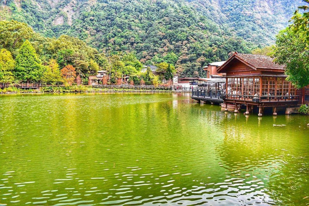 秋冬來車埕賞楓🍂