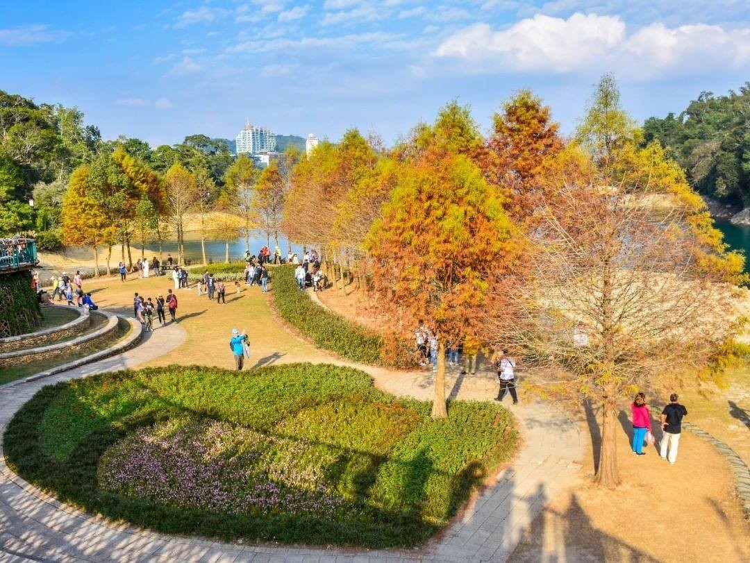 冬季限定美景🍂