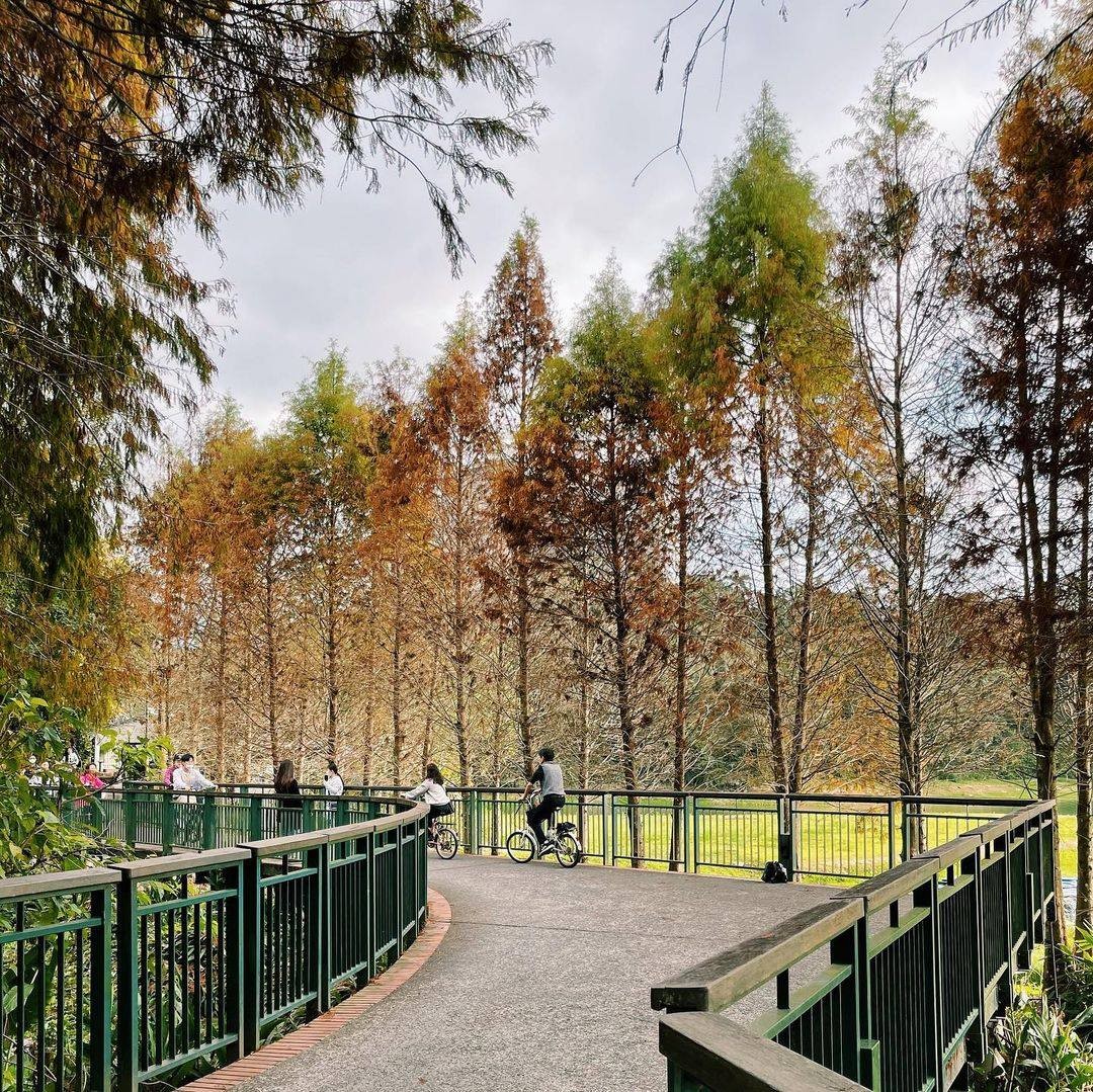 快來騎車動動身體🚲