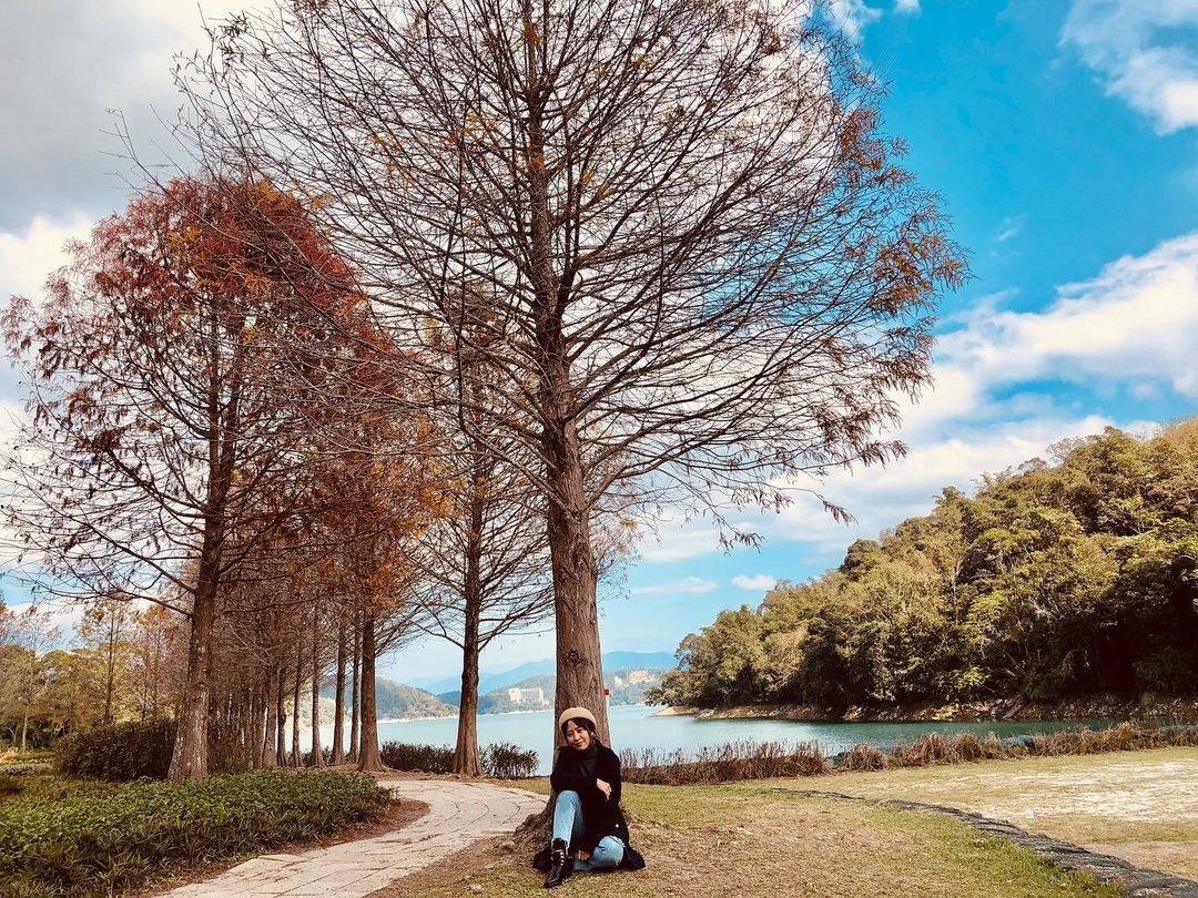 冬天沒有葉子的落羽松也很美~