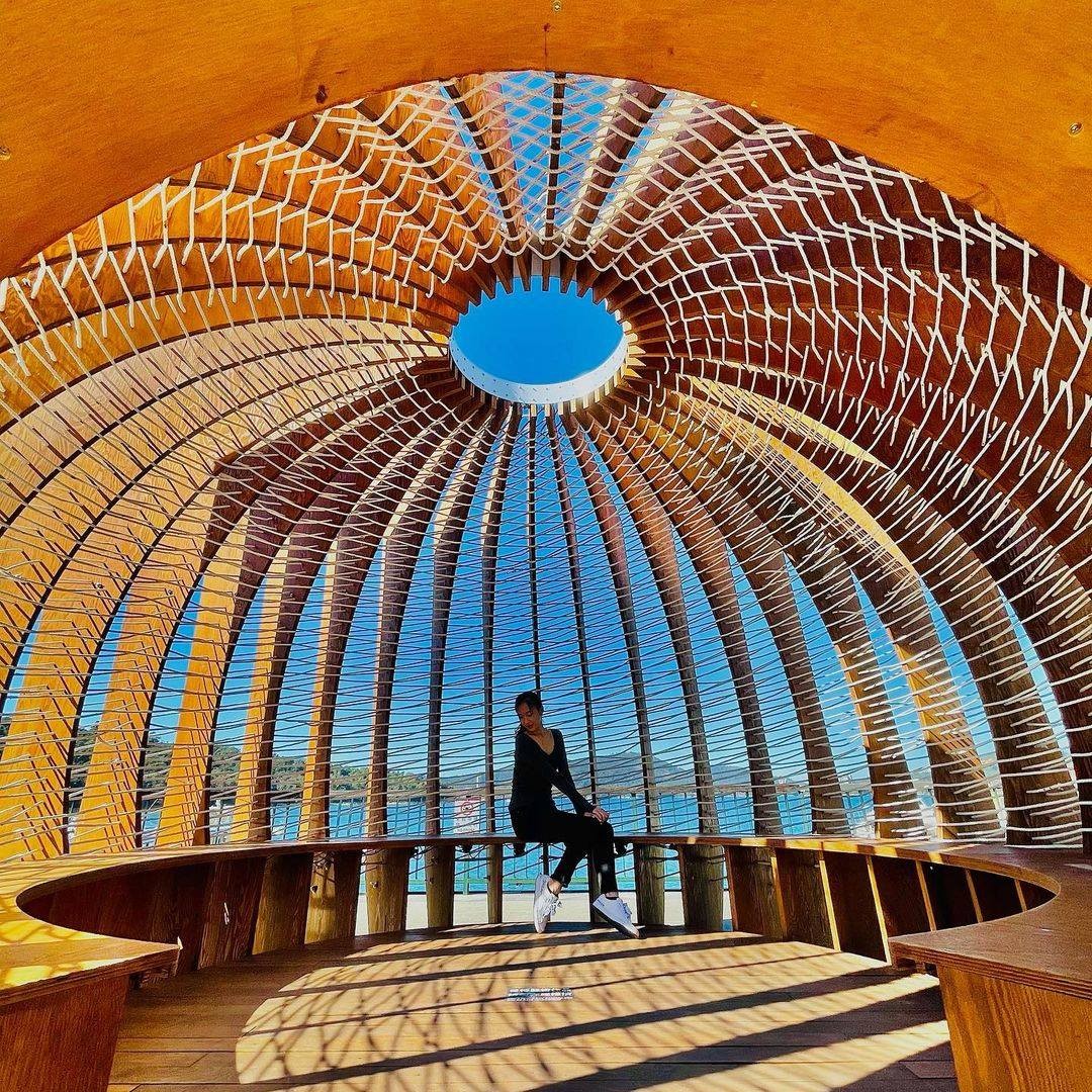 鳥巢裡的天空☁