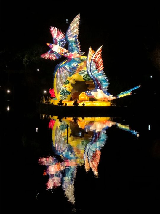 台灣燈會 Taiwan Lantern Festival 