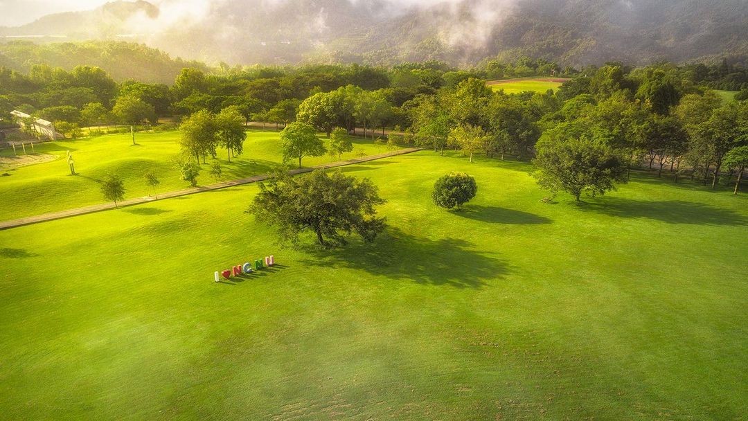 草地上奔跑🏃🏻‍♂️
