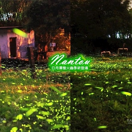 #2021日月潭星光螢火季