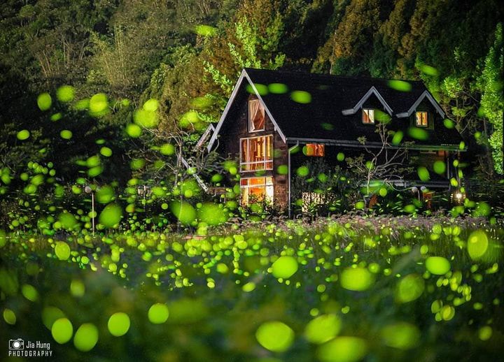 #日月潭星光螢火季 ✨