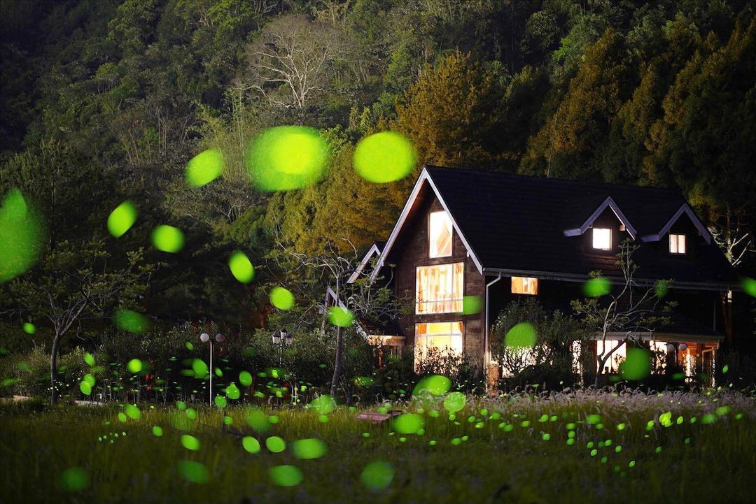 照耀著夜晚的小精靈✨