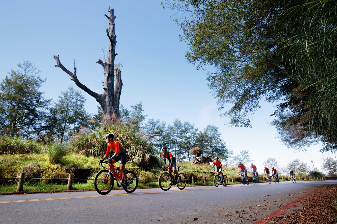回顧去年日月潭阿里山100k挑戰賽