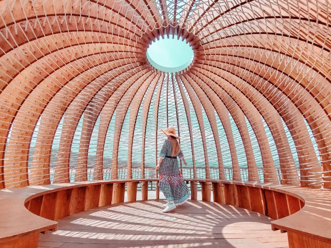 用青背山雀的視角看日月潭