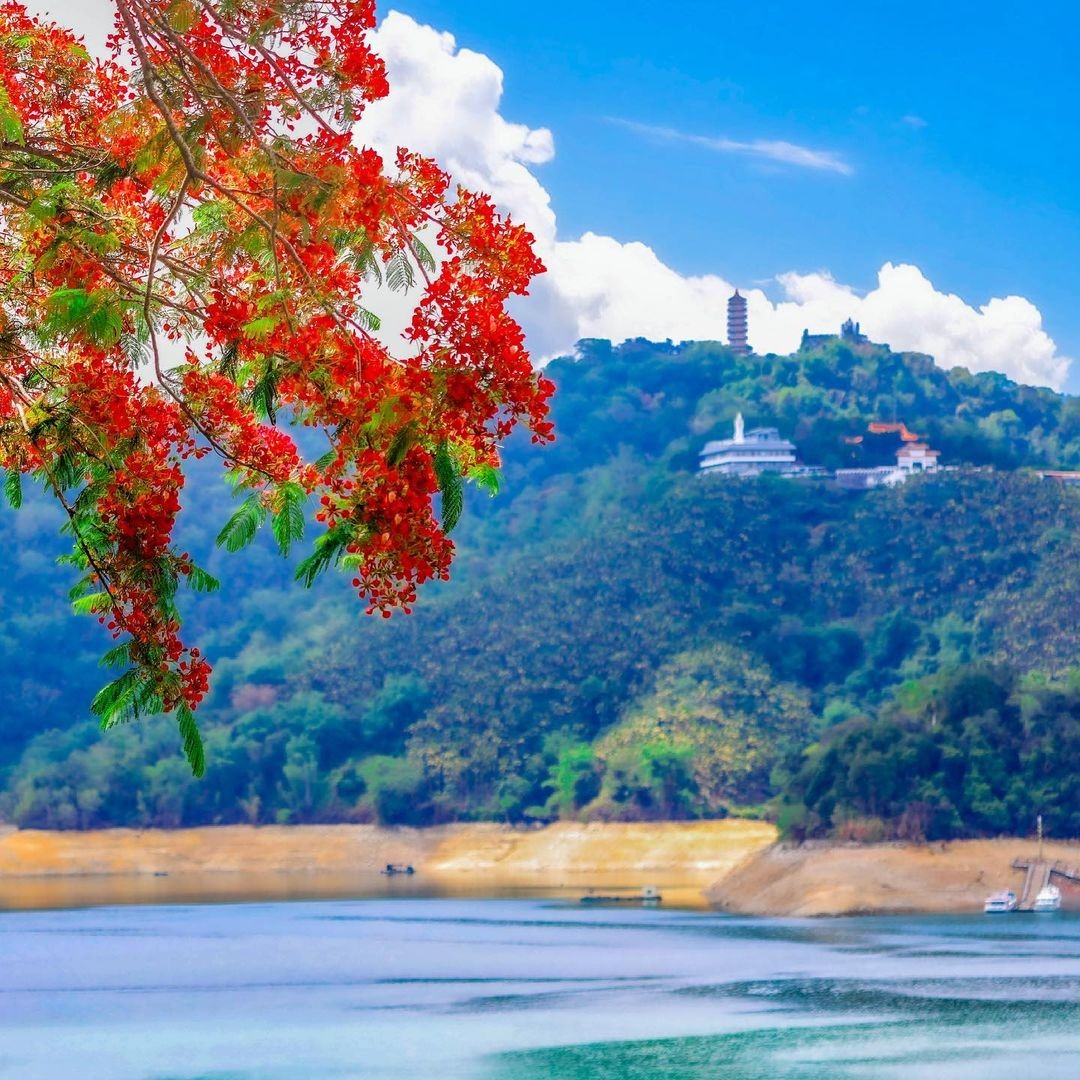 鳳凰花開的日子