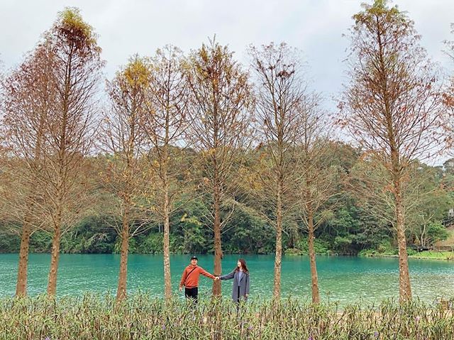 🍁【日月潭賞楓秘境】🍁