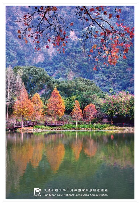 想起那年秋天散步在楓紅的湖畔旁