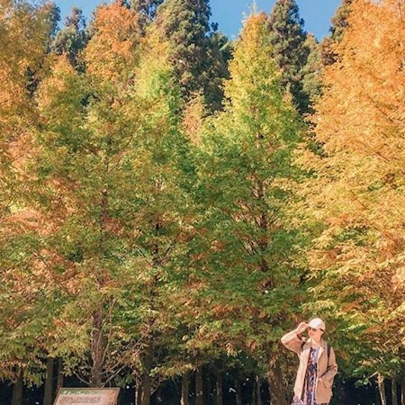 想拍出絕美畫面一定要看看這幾個景點！