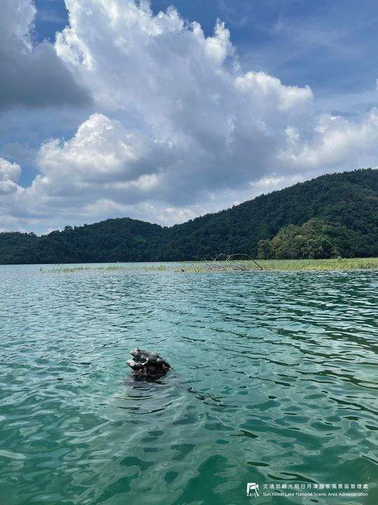 #烟花颱風 將於週四至週六明顯影響台灣